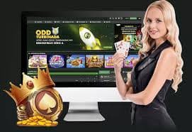 rogtoto togel customer support interface for Microgaming table assistance